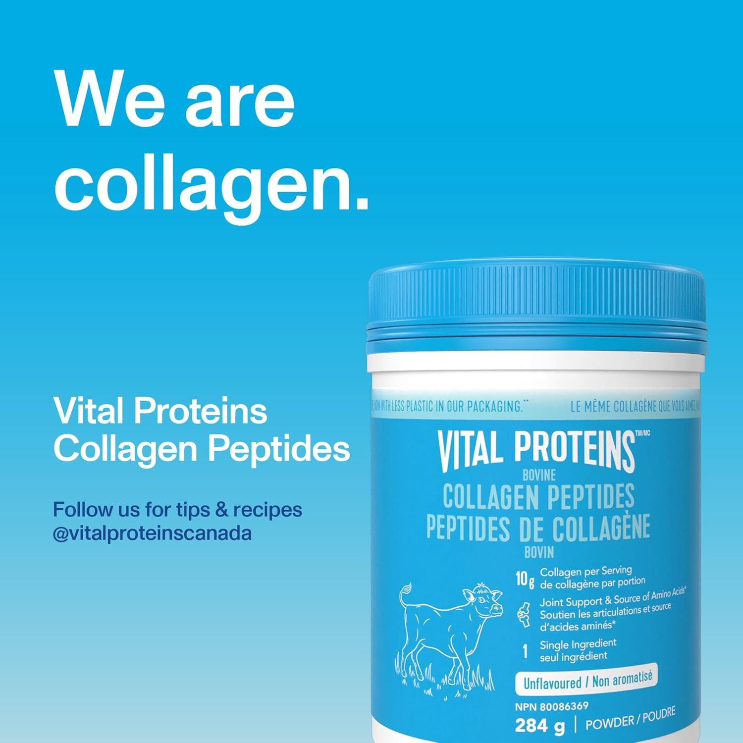 VITAL PROTEINS Bovine Collagen Powder-(284g) - Image 4